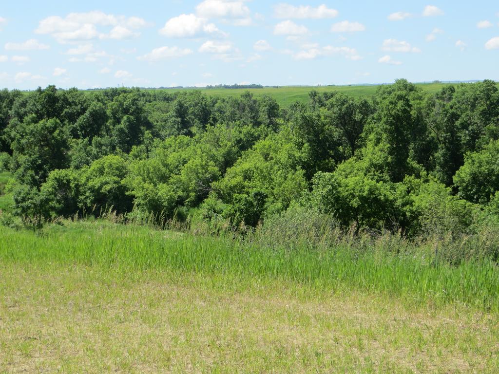 Orchard View Bed And Breakfast Moose Jaw Luaran gambar
