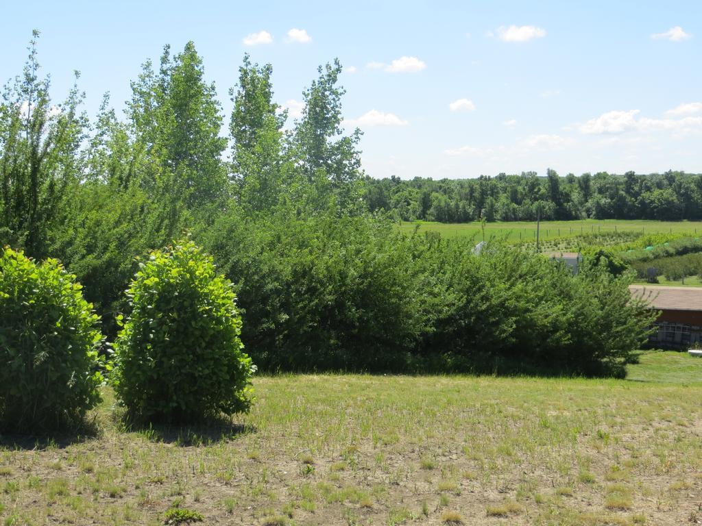 Orchard View Bed And Breakfast Moose Jaw Luaran gambar