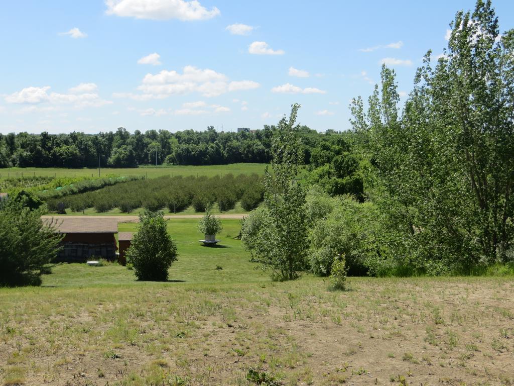 Orchard View Bed And Breakfast Moose Jaw Luaran gambar