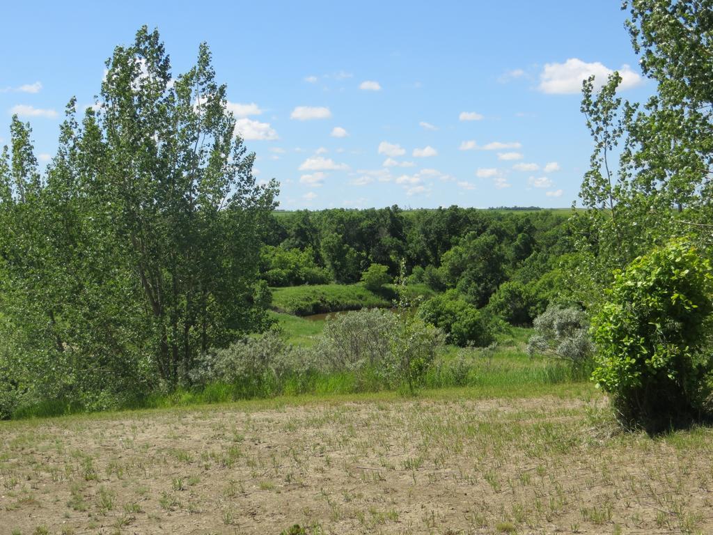 Orchard View Bed And Breakfast Moose Jaw Luaran gambar